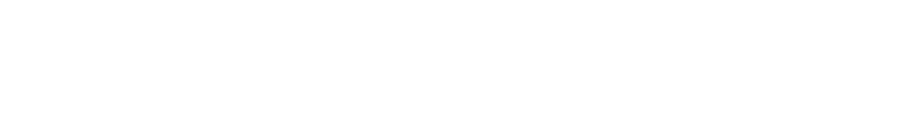 DDownload Logo White